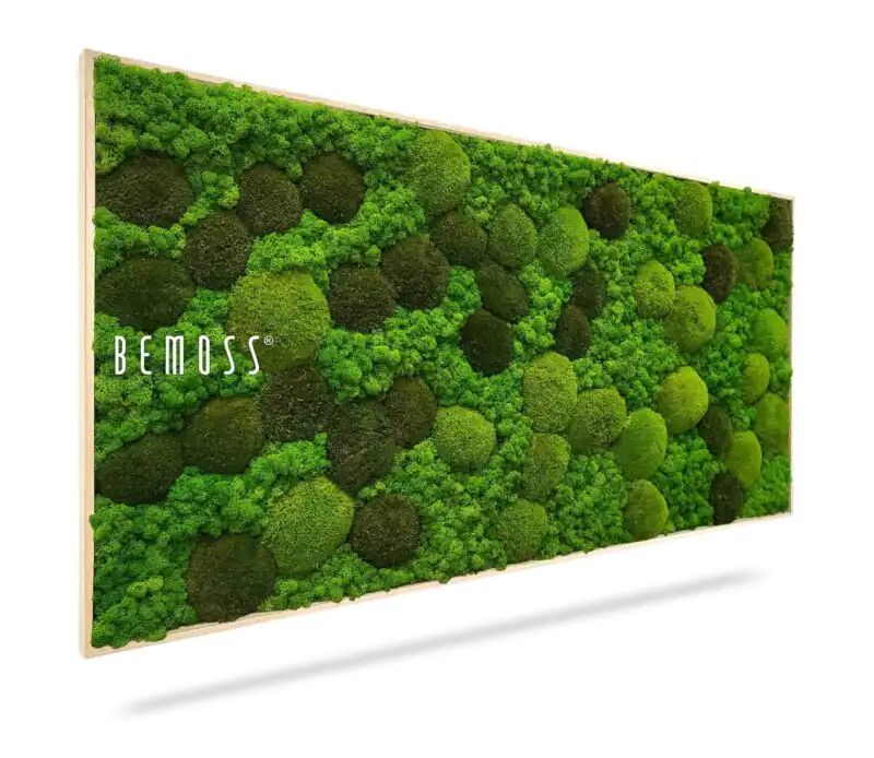 Moosbild BEMOSS® ORTHO MONETO