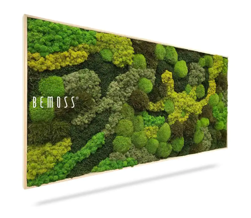 Moosbild BEMOSS® ORTHO TELDE