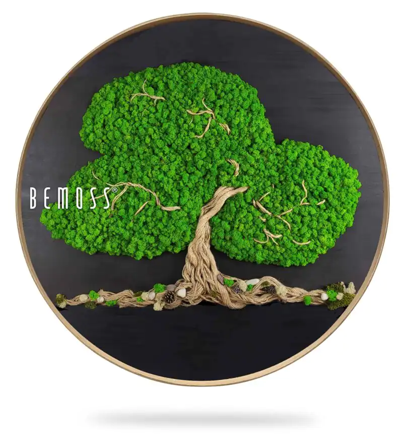 Moosbild Rund BAUM ARLES