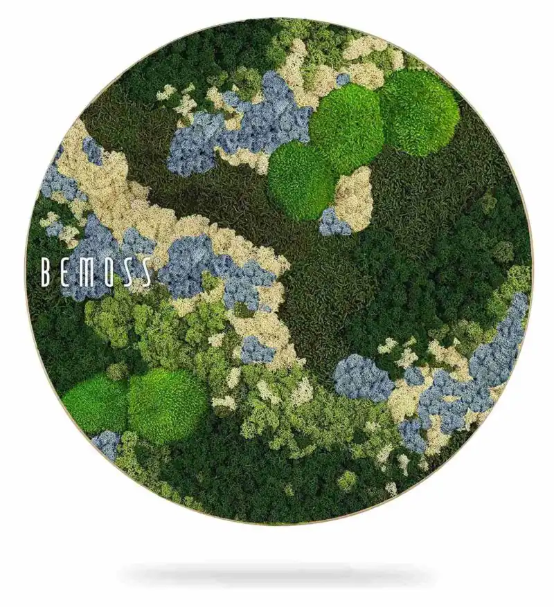 Moosbild Rund BEMOSS® ORTHO ICE