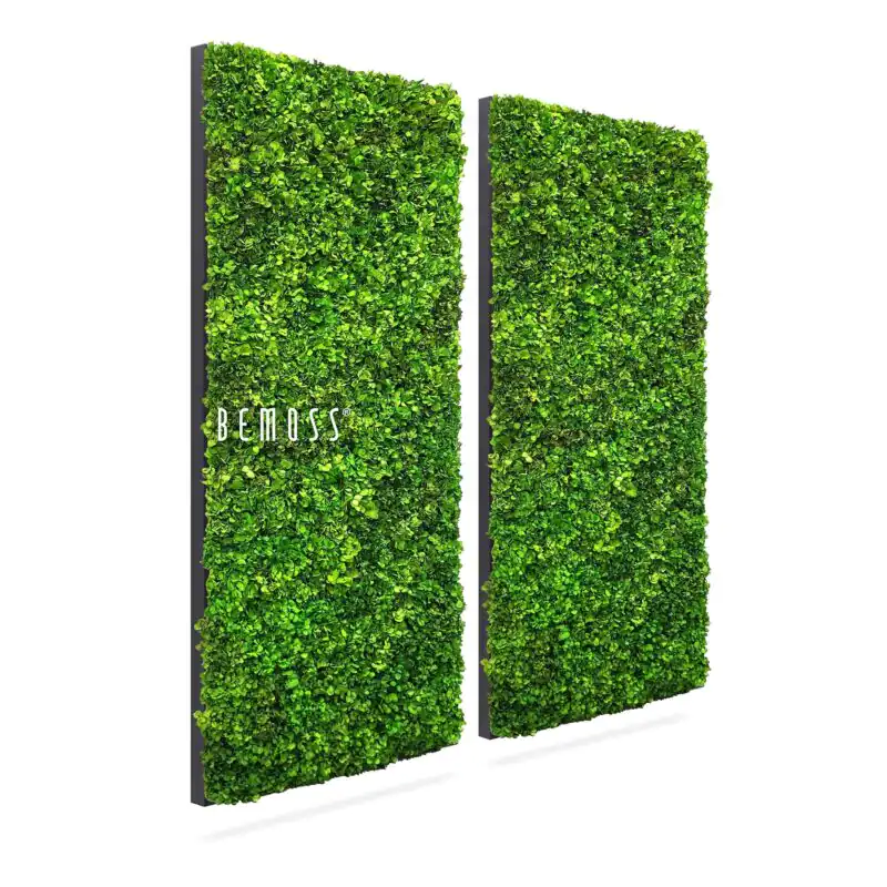 Moosbild Set BEMOSS® MIMI
