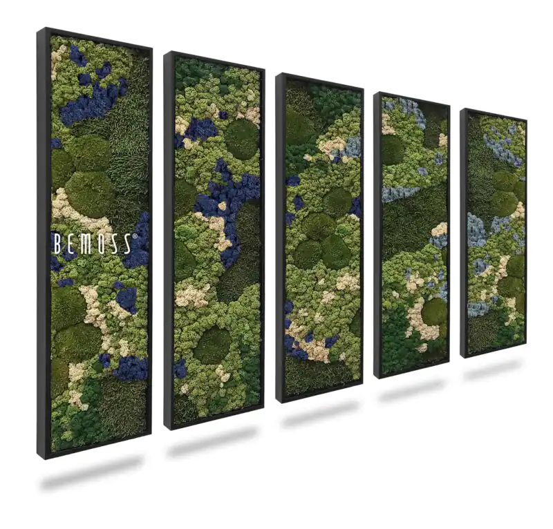 Moosbild Set BEMOSS® ORTHO BLUE