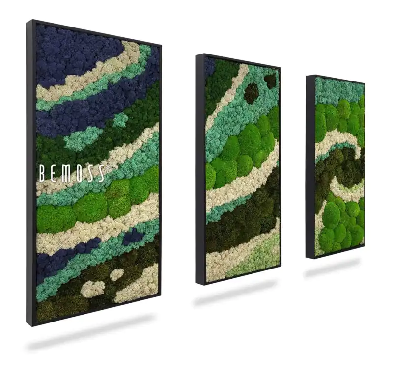 Moosbild Set BEMOSS® ORTHO SWIRL