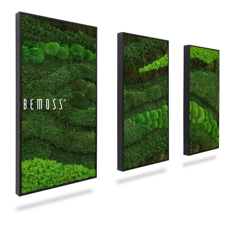 Moosbild Set BEMOSS® ORTHO TOCÓN