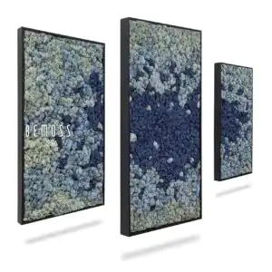 Moosbild Set BEMOSS® ORTHO SPLASH - Thumbnail Image 1
