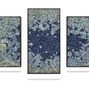 Moosbild Set BEMOSS® ORTHO SPLASH - Thumbnail Image 2