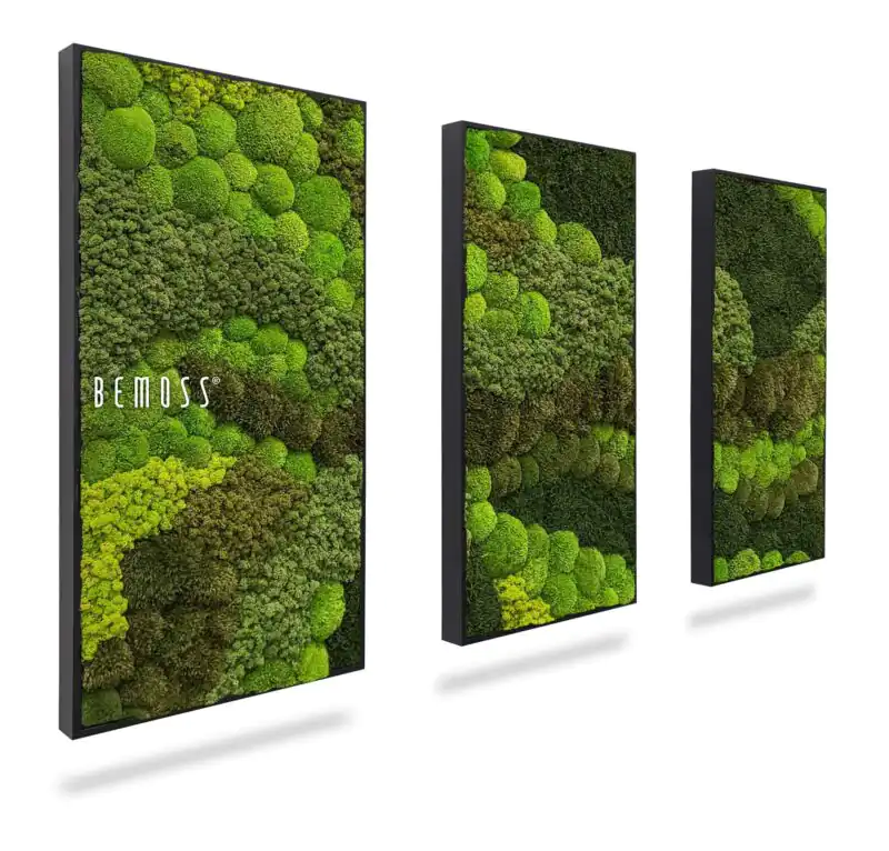 Moosbild Set BEMOSS® ORTHO VERDIA TRIO