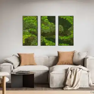 Moosbild Set BEMOSS® ORTHO VERDIA TRIO - Thumbnail Image 2
