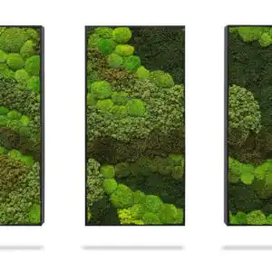Moosbild Set BEMOSS® ORTHO VERDIA TRIO - Thumbnail Image 3