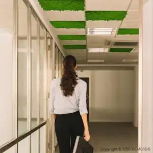 Moos-Deckenpaneele ISLANDMOOS mono