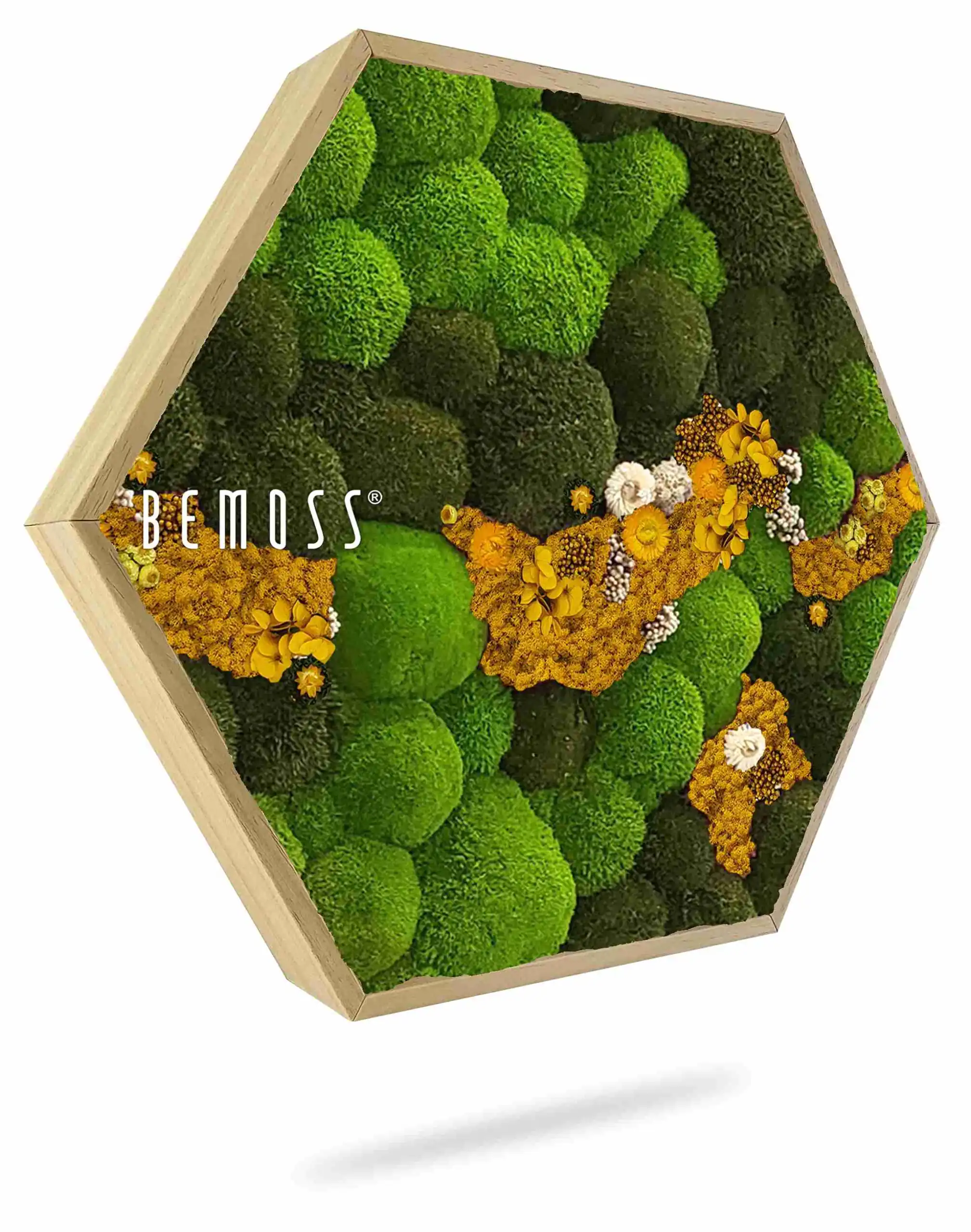 Moosbild Hexagon KUGELMOOS COSMO Yellow – Bild 1