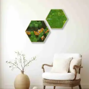 Moosbild Hexagon KUGELMOOS COSMO Yellow - Thumbnail Image 2