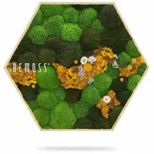 Moosbild Hexagon KUGELMOOS COSMO Yellow - Thumbnail Image 3