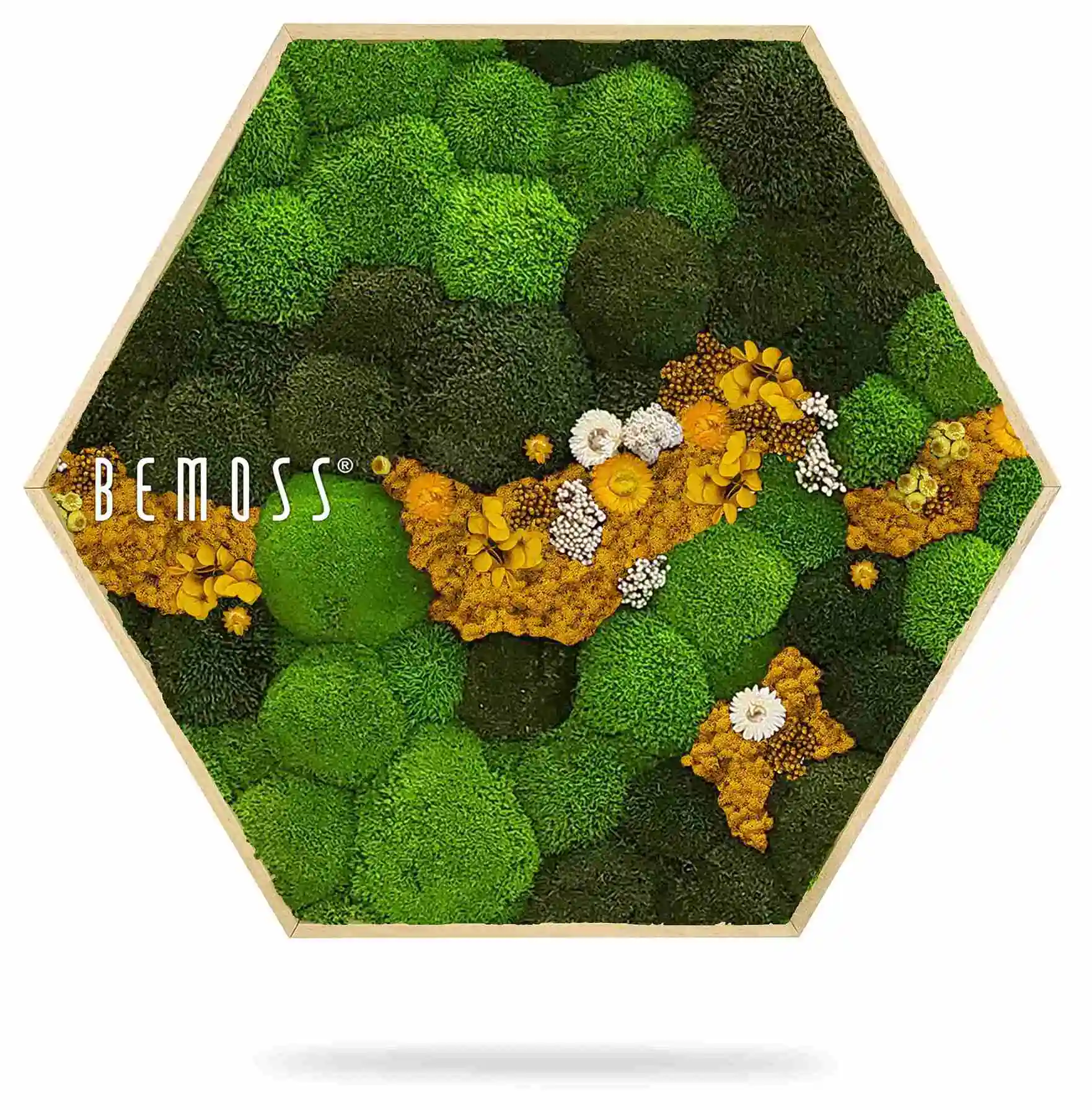 Moosbild Hexagon KUGELMOOS COSMO Yellow – Bild 3