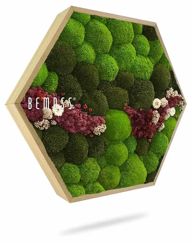 Moosbild Hexagon KUGELMOOS COSMO Burgundy