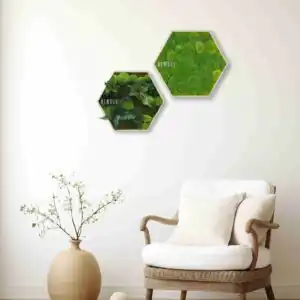 Moosbild Hexagon PFLANZEN Vigo - Thumbnail Image 2