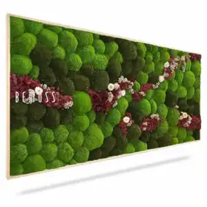 Moosbild KUGELMOOS COSMO Burgundy