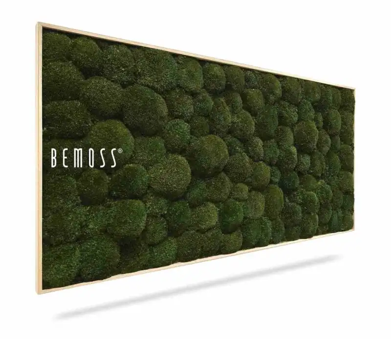 Moosbild KUGELMOOS Natural Green