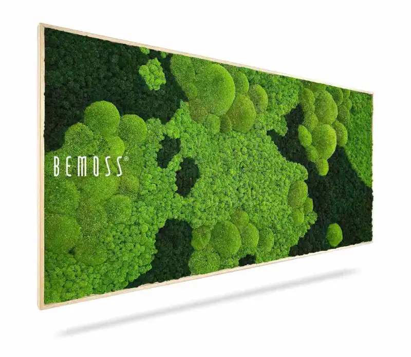 Moosbild BEMOSS® ORTHO CORCON