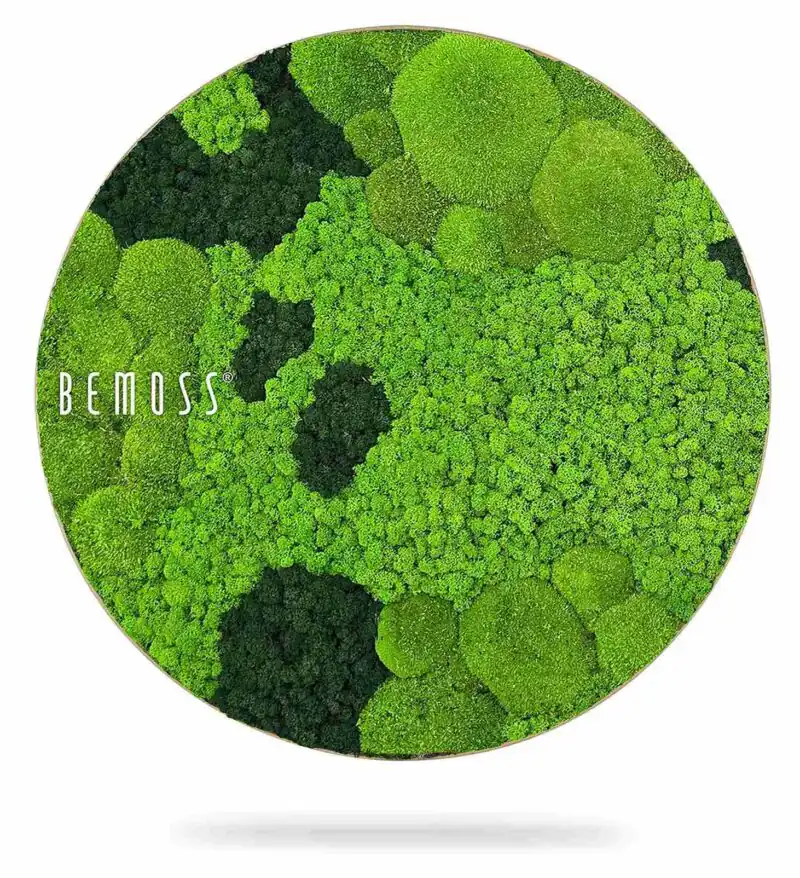 Moosbild Rund BEMOSS® ORTHO CORCON