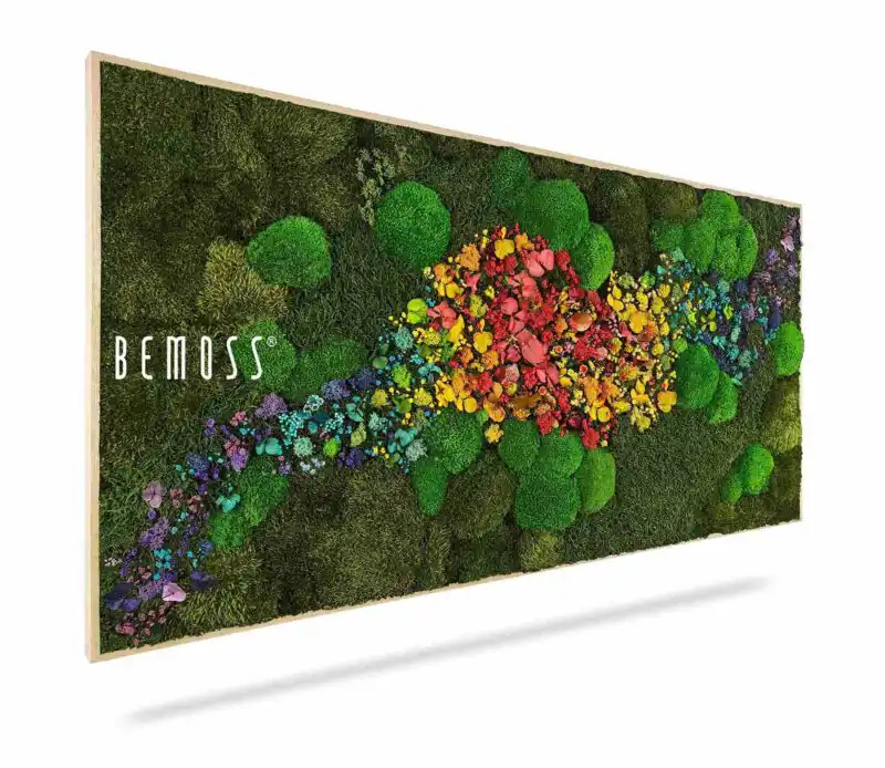 Moosbild PFLANZEN Acebo