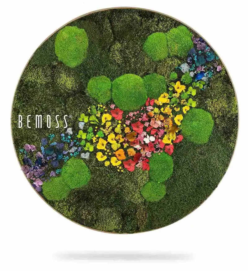 Moosbild Rund PFLANZEN Acebo