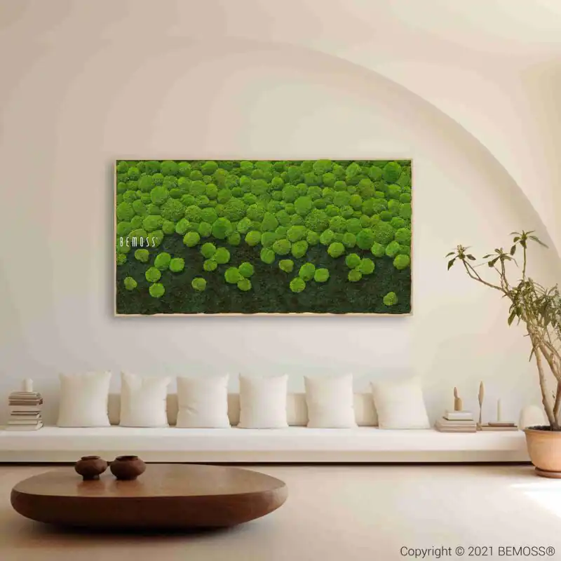 Moosbild KUGELMOSS CACHOEIRA Light XXL