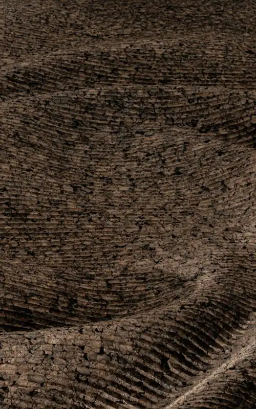 detailný záber na pletený predmet so slovami machovy obraz, stabilizovany mach, machová stena, machová dekorácia