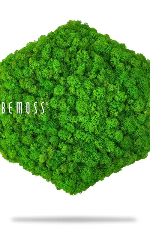 zelený strom so slovom byť machom na boku a bielym pozadím s bielym textom pod ním, environmentálne umenie , machovy obraz, stabilizovany mach, machová stena, machová dekorácia