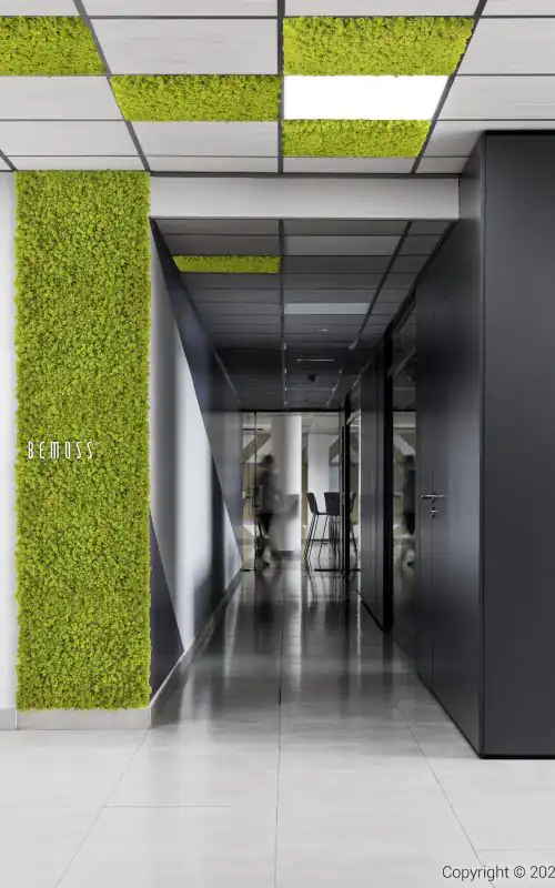 chodba so zelenou stenou a čiernymi dverami a bielou podlahou a čiernymi dverami a čiernymi dverami, environmentálne umenie , machovy obraz, stabilizovany mach, machová stena, machová dekorácia
