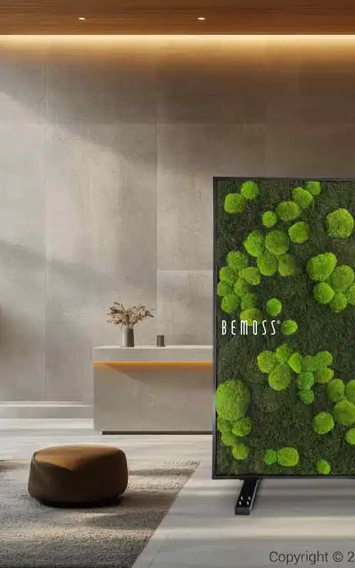 PARAVAN_FLATMOSS_BOLMOSS_LIGHT_02_2_11zon