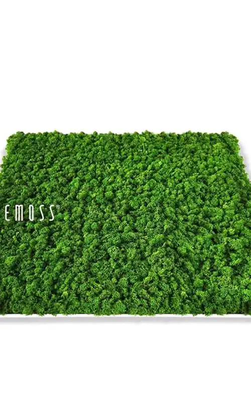 STROPNA_KAZETA_GREEN_LIGHT_01_LOGO_11zon