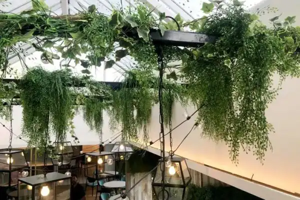 Visiace umelé zelené rastliny pod moderným preskleným stropom